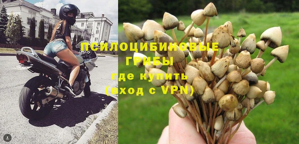 трава Краснотурьинск