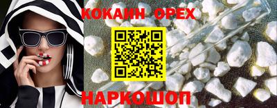 молекула духа Гатчина