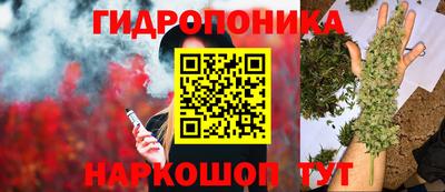 мдпв Гагарин