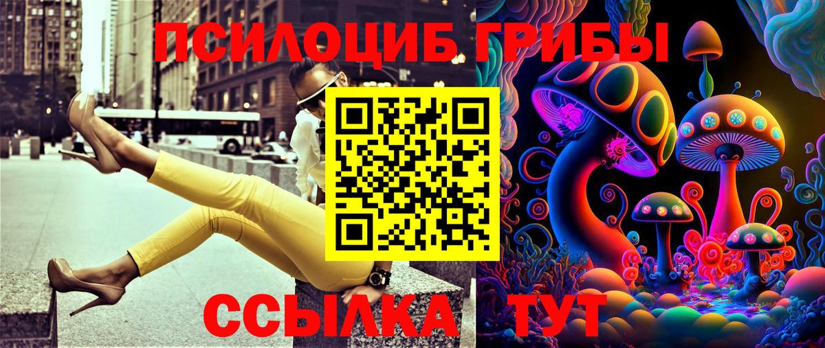 Ковров  Галлюциногенные грибы Psilocybine cubensis  Псилоцибиновые грибы GOLDEN TEACHER  Вход с VPN 