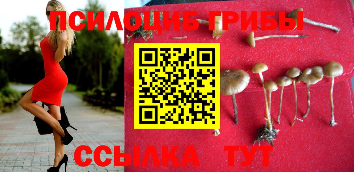 Галлюциногенные грибы мицелий Ковров